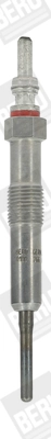 GE110 Beru