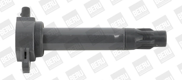 ZS562 Beru
