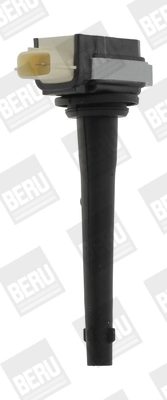 ZSE161 Beru