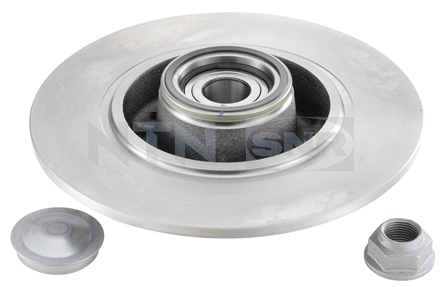 Disco do freio traseiro Renault Scenic 3 JZ0, JZ1