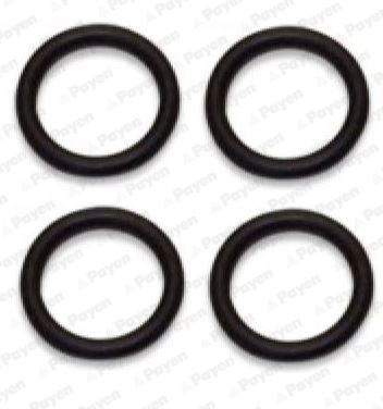 Vedante de tubo coletor de admissão Citroen C4 UA