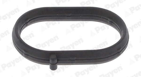 JA5008 Payen