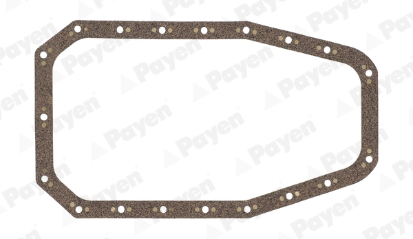 JJ519 Payen