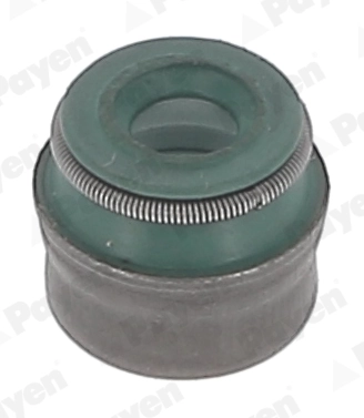 PA5041 Payen
