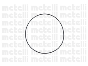 240802 Metelli Насос водяной