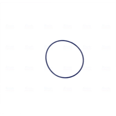 Válvula de borboleta montada BMW X3 F25