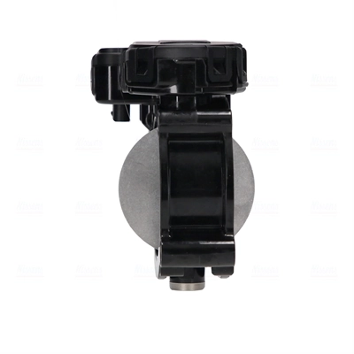 Válvula de borboleta montada Mercedes Sprinter 906