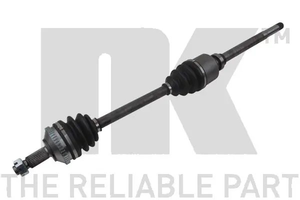 501941 NK
