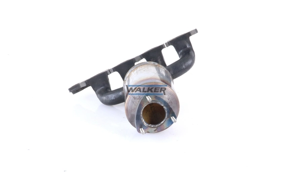 Катализатор 20854 Walker