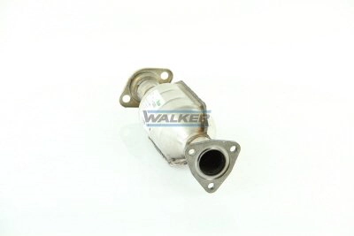 20638 Walker