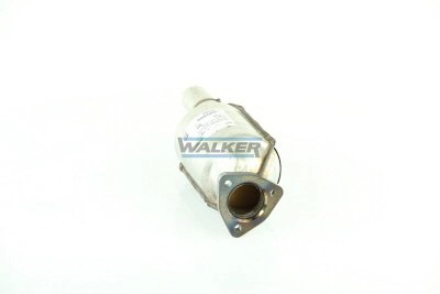 19182 Walker