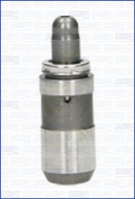 Гидрокомпенсатор 1216R0055 Ridex