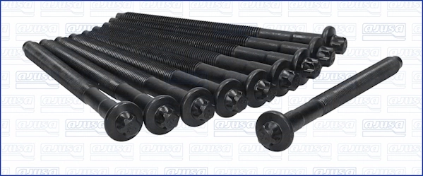 81008000 Ajusa