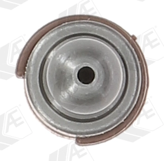 Compensador hidrâulico (empurrador hidrâulico), empurrador de válvulas Renault Megane 2 LM0, LM1