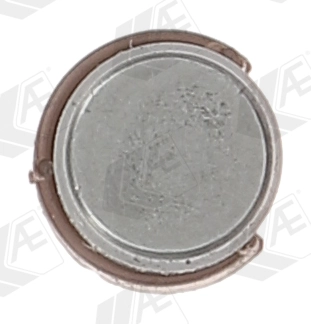 Compensador hidrâulico (empurrador hidrâulico), empurrador de válvulas Renault Megane 2 LM0, LM1