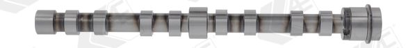 Распредвал двигателя выпускной AE CAM1026 цена, от 141.42 USD