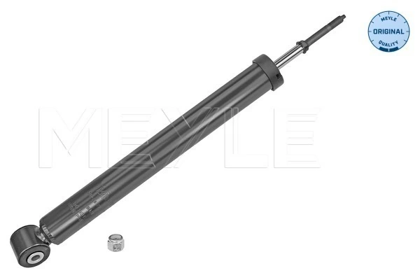 Амортизатор задний, правый Magneti Marelli 4968G цена, от 19.46 USD