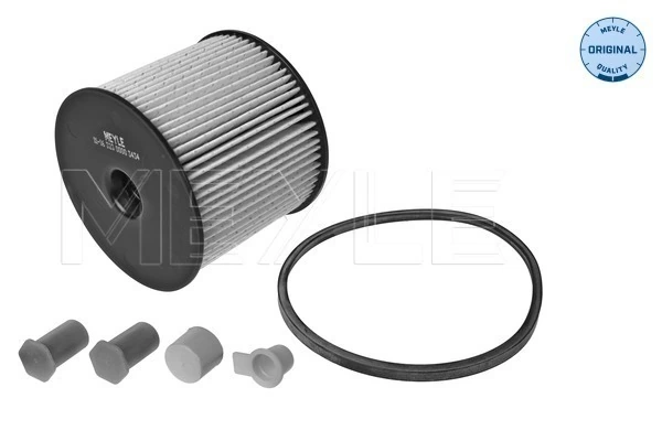 Filtro de gasoil Citroen C5 