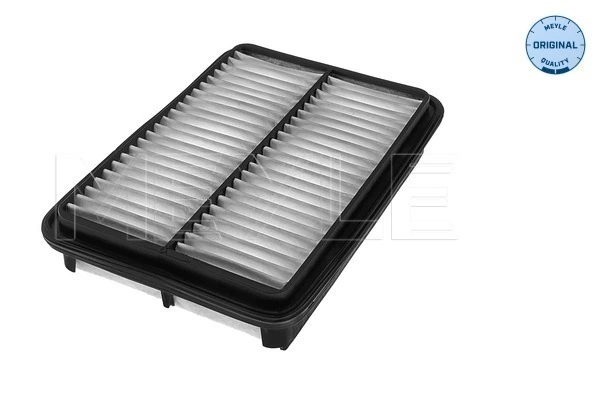  Воздушный фильтр Hyundai Santa Fe 1