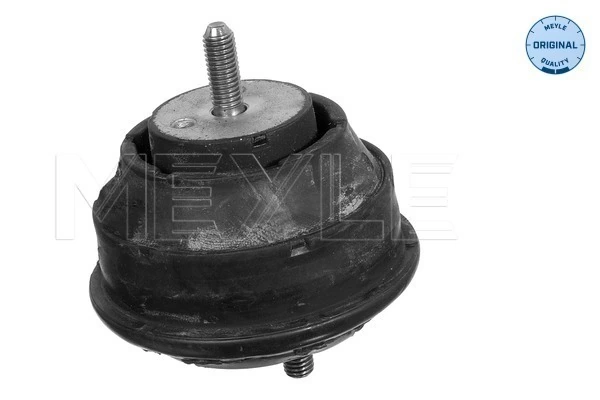 Soporte elástico, suspensión del motor, Izquierda / Derecha BMW 3 
