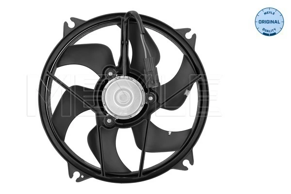 Ventilador elétrico de esfriamento montado (motor + roda de aletas) para Citroen Berlingo  B9