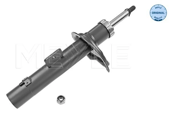 Амортизатор подвески передний левый Qsp-m 13631 цена, от 31.79 USD