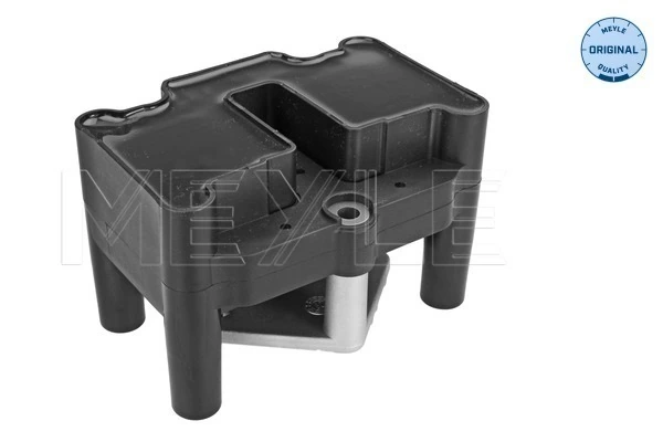 Катушка Шкода Рапид 