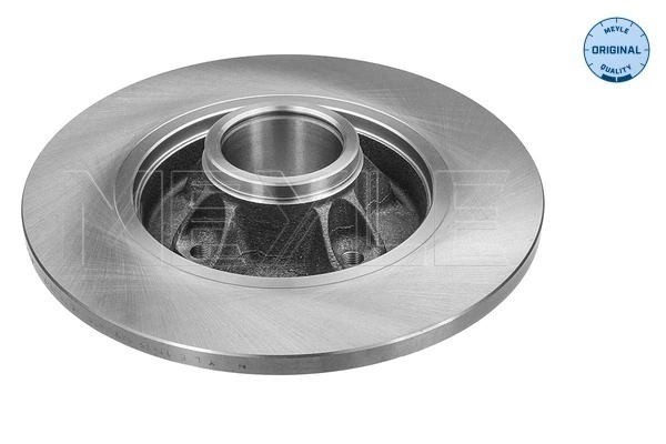 Compre Disco do freio traseiro Citroen C4 