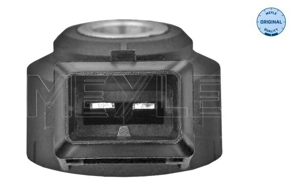 Датчик самовоспламенения на Citroen Evasion  22, U6