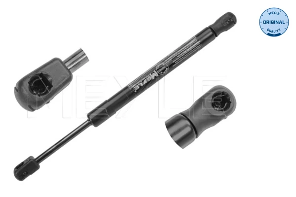 Амортизатор крышки багажника на Audi A6 C6 4F2