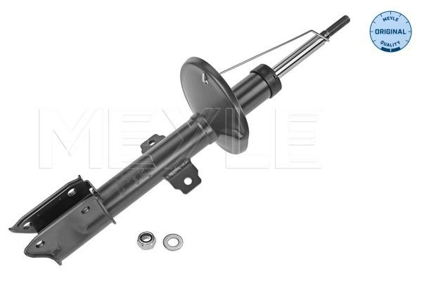 Стойка амортизатора передняя Goodrem RA0013 цена, от 35.91 USD