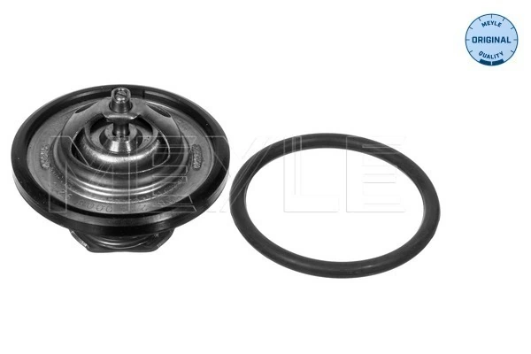  Термостат Daewoo Nexia 2