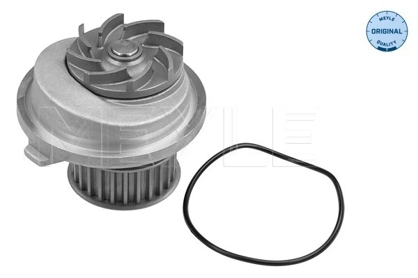 Bomba de água (bomba) de esfriamento Chevrolet Captiva I C100