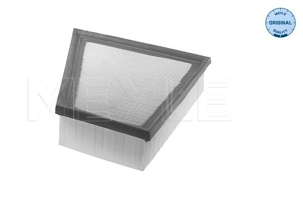 1003210009 Meyle Воздушный фильтр двигателя