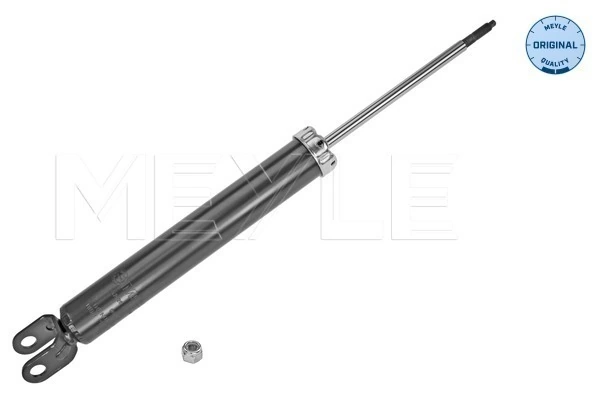 Купить FR461907 ASM Амортизатор задней подвески