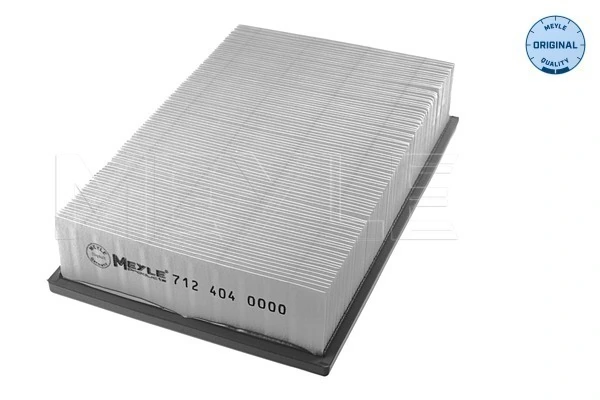FS4015 DP Group Воздушный фильтр двигателя