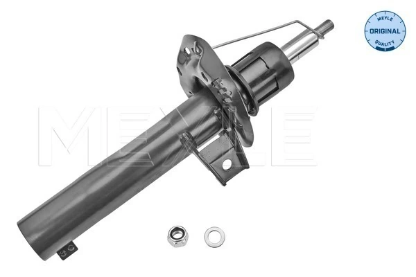 4319GQ Magneti Marelli Стойка передняя