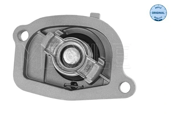 Termostato para Fiat Punto  176C