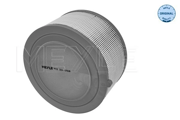 FS40601 DP Group Воздушный фильтр двигателя