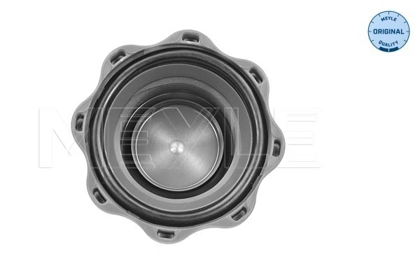 Tampa (tampão) do tanque de expansão para MAN TGX I 