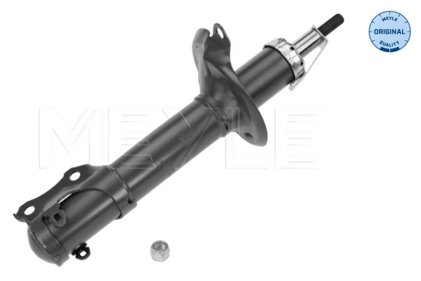 Стойка амортизатора передняя DTW 101069KIT цена, от 35.47 USD
