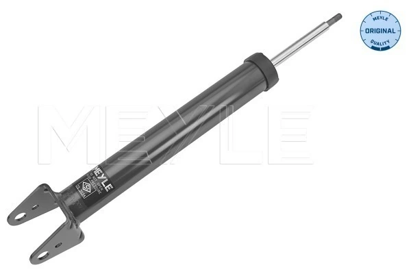 Стойка амортизатора задняя Arnott AOSK2868 цена, от 79.46 USD