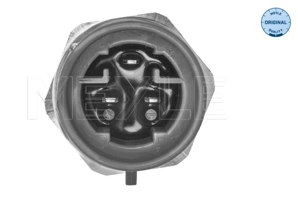 Sensor de temperatura do fluido de esfriamento (de ativação de ventilador do radiador) para Citroen Jumper  244