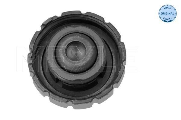 Tampa (tampão) do tanque de expansão Mercedes C  W202