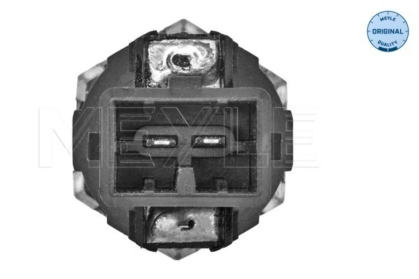 Sensor de detonação para Renault Espace IV JK0