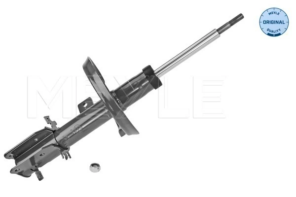 Амортизатор передней подвески левой Asam 05583 цена, от 54.38 USD