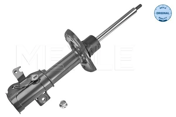 Амортизатор передней подвески левой Raiso RS313591 цена, от 42.43 USD