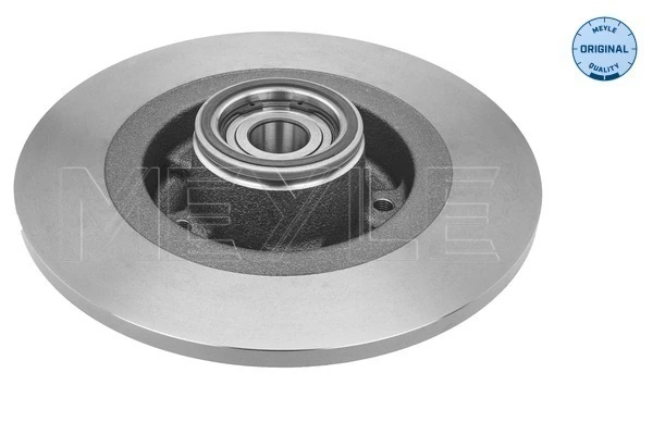 Disco do freio traseiro para Renault Scenic III JZ0, JZ1