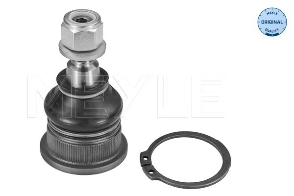 Купить 401605723R Renault (RVI) Нижняя шаровая опора