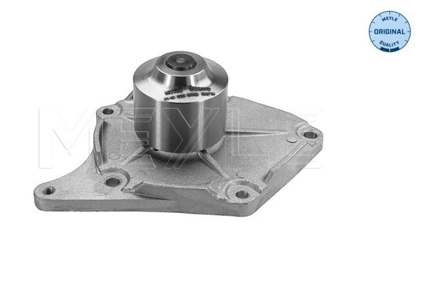 Помпа охлаждения Renault Laguna III хэтчбек (BT0, BT1) (2007 - 2015) цена, от 38.13 USD